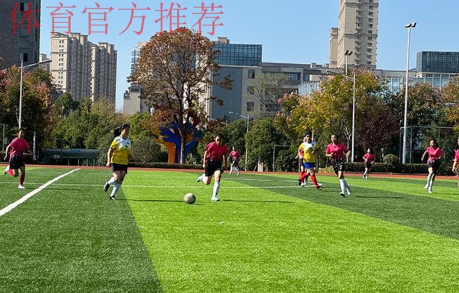 内蒙古“足球频道电力杯”一带一路国际青少年足球夏令营暨2019年“足球频道娜荷芽”全国幼儿足球活动开幕