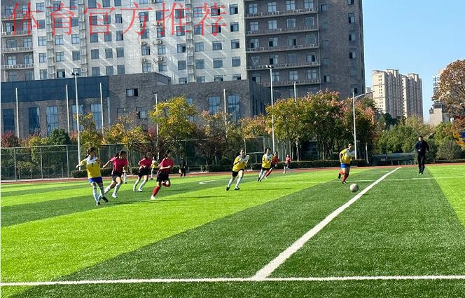 内蒙古“足球频道电力杯”一带一路国际青少年足球夏令营暨2019年“足球频道娜荷芽”全国幼儿足球活动开幕